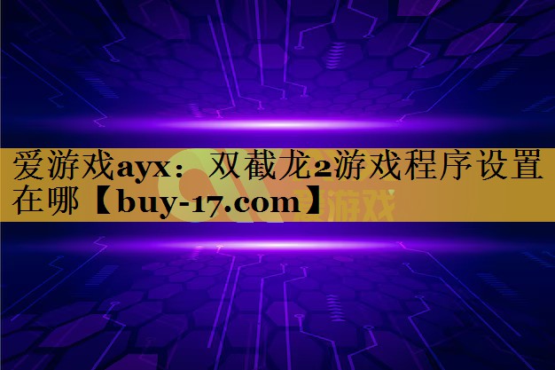 双截龙2游戏程序设置在哪